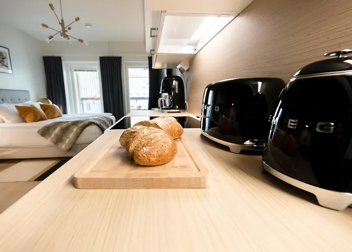 Premium In Center With Sauna And Balcony 公寓 波里